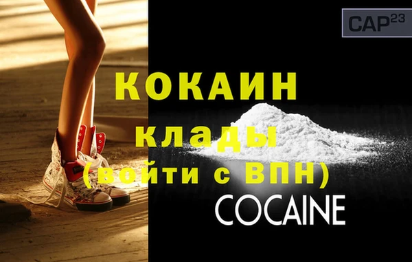 индика Елабуга
