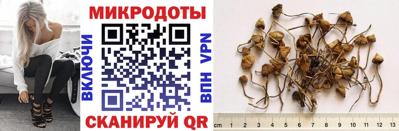 Галлюциногенные грибы Cubensis  Сретенск 
